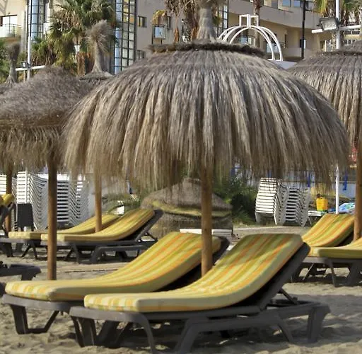 Bed and breakfast Joy