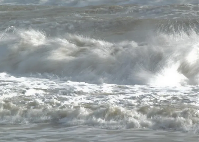 Bed and breakfast Joy