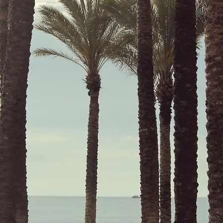 Joy ベッド・アンド・ブレックファスト 2*